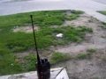 wouxon dual band radio