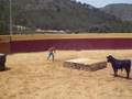 Intento de vot , naxito!!!!
