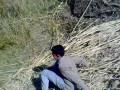 videos de high jump