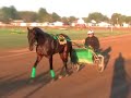 jody and carl jamieson comment on santanna blue chip, a contender in the 2008 little brown jug.