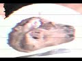 Thumbnail #1