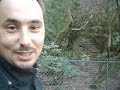 Bull, Live from les Buttes Chaumont