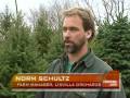 The Eco-Friendly Xmas Tree