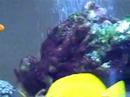 aquarium3 aquarium3