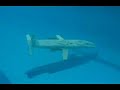 Modell-UBoote im Pool Modell-UBoote im Pool