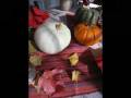 videos de Thanksgiving 2008
