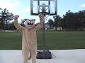 CCS Paws Mascoting Video