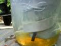 HHO Experiment