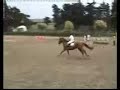 Davide Cacace e Lahm de la Chattre categoria 115 Davide Cacace e Lahm de la Chattre categoria 115