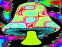 Psyshine ft Bakteria - Flugsvamp