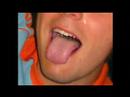 trailer-los-206-special-nyu-edition.html