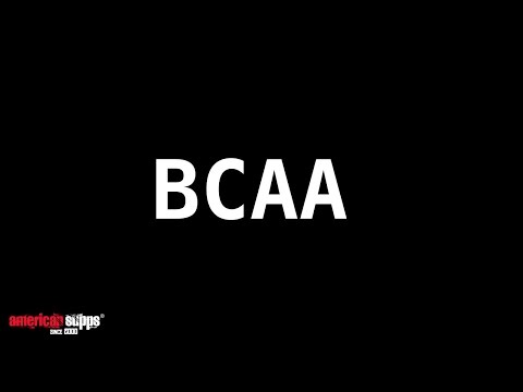 BCAA Einnahme & Wirkung Aminosäuren für den MUSKELAUFBAU | AMERICAN-SUPPS.COM