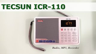  Tecsun ICR-110