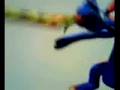 videos de dragon=w=