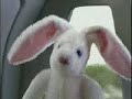 los peluches del carro
