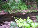 Sansakroma - Hist�ria da �gua