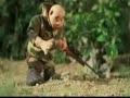 hunter vs bird hunter vs bird