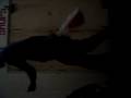 jodat shuffle