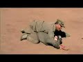 martial arts odyssey: training with shan state army  part 1 