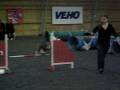 Purina-areena 30.11