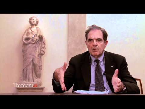 Meduse: chi sono e come difendersi?