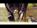 View Video
