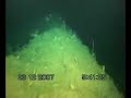 Underwater video -1