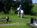 Alice & Samson cross country