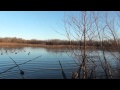 Willow Wood Duck Hunt 2011
