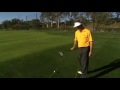 Cure your slice with Mr Appleby