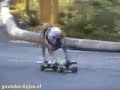 YouTube humor hond skateboard dog skateboard