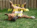 Beautiful day