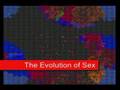 A Computer Science Sampler: Algorithms and Beyond