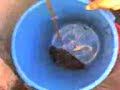 Agua del D.F