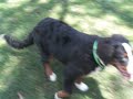 Sacha en el Parque