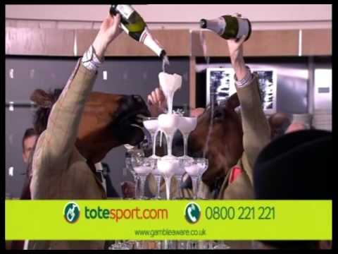 racing results cheltenham