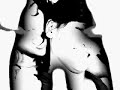 Catfight Catfight