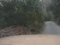 Hante Branch Run