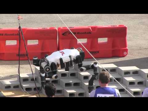The Challenges of Humanoid Robots