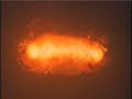 The Best of Explosive | Najlepsze Wybuchy The Best of Explosive | Najlepsze Wybuchy