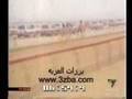 الظبي