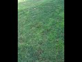 New iPhone App