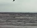 Kite High jump Doggen Halmstad Sam Hansson 080330 - Thumb #2