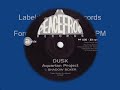 Dusk - Shadow Boxer