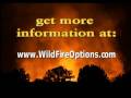 How Does My house Catch on Fire? How Does My house Catch on Fire?