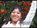 Yobana ancco - mi palomita