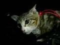videos de 21nov 035.MOV