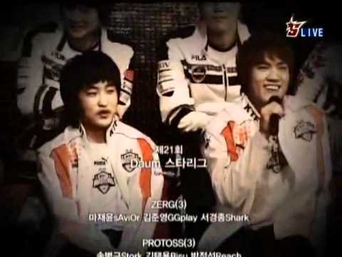 starcraft wiki starcraft wiki