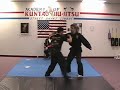 Kuntao Jiu-Jitsu #2