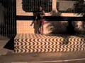 Diego e Matheus -PUlo Louco_ Diego e Matheus -PUlo Louco_